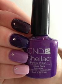 Shellac diseño 1